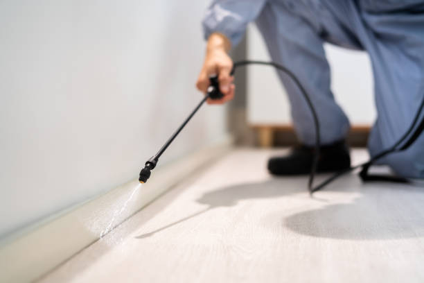 Licensed Rodent Control service in Palmyra, IN - Nex Pest Control