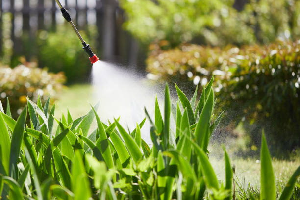 24/7 Emergency Rodent Control experts in Palmyra, IN