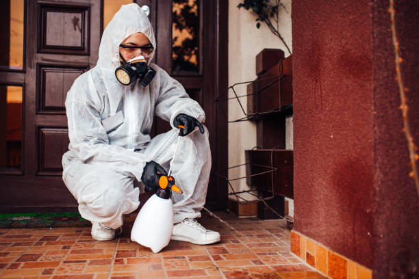 Reliable Rodent Control contractor in Palmyra, IN by Nex Pest Control